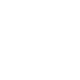 Las Vegas Aviators