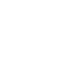 Ford Country Logo