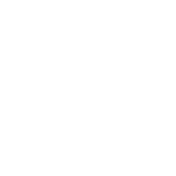 SES